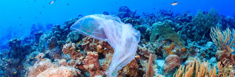 El plástico que se disuelve en el agua y ayuda al medioambiente - ÓN